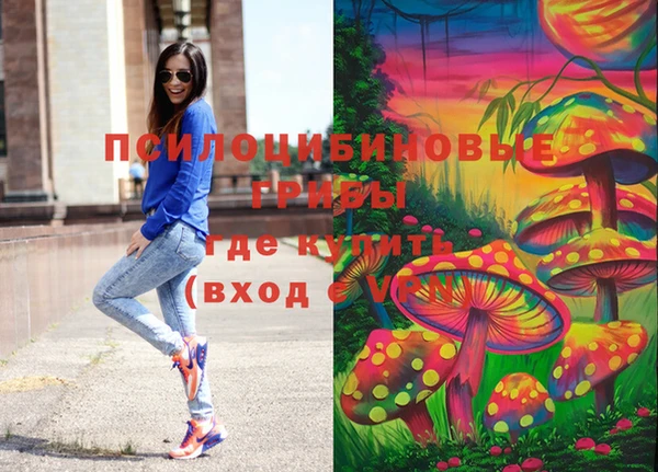 спайс Алексеевка
