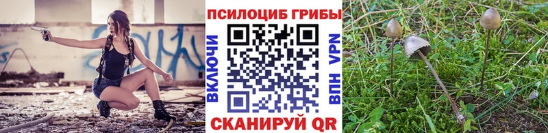 Псилоцибиновые грибы GOLDEN TEACHER Куйбышев